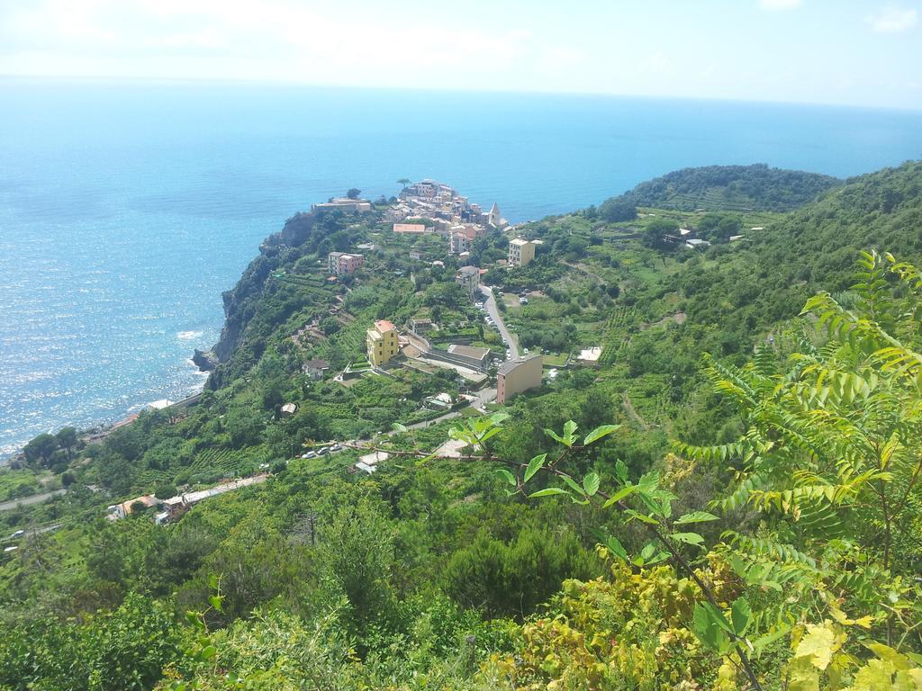 Affittacamere Cinque Terre Andrea La Spezia